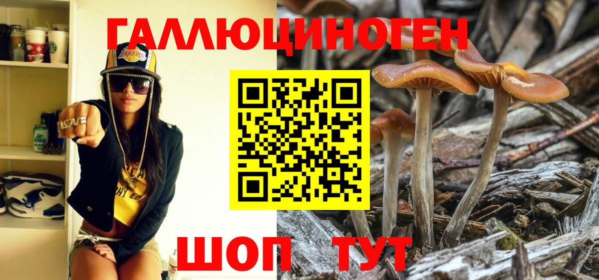 Псилоцибиновые грибы MAGIC MUSHROOMS  Вход с VPN  Похвистнево  Псилоцибиновые грибы ЛСД 